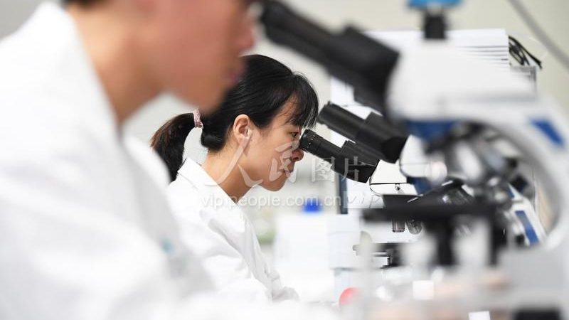 生物医药外包行业：揭秘龙头企业排名背后的逻辑
