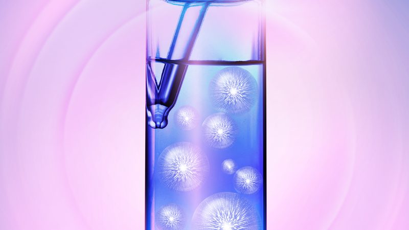 生物科技研发：揭秘从实验室到市场的关键阶段**
