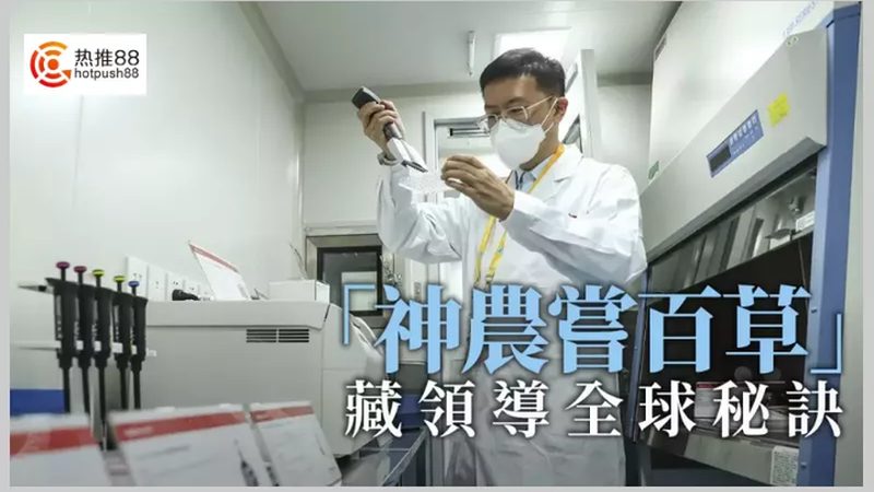 PCR试剂盒型号选择：揭秘背后的科学逻辑