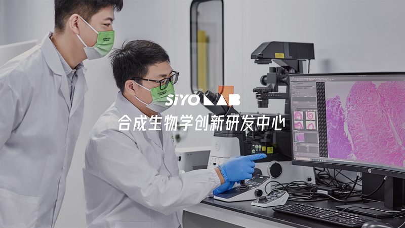 生物医药洁净室净化等级，揭秘其背后的奥秘