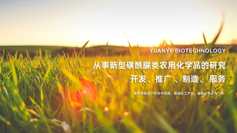生物医药洁净室净化等级，揭秘其背后的奥秘
