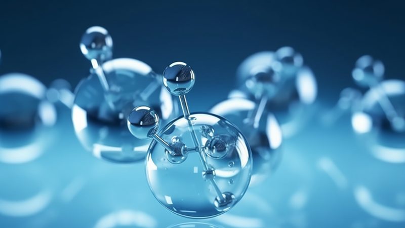 揭秘上海生物抗体生产厂家：如何选择与报价**