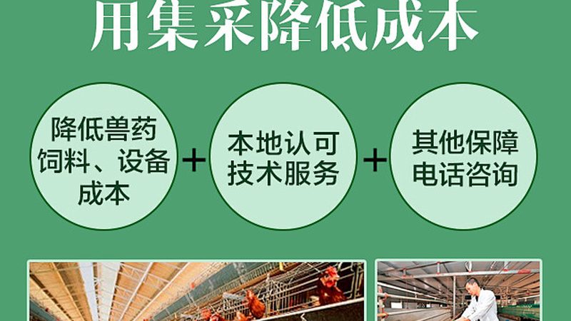 培养基成分分类流程解析**