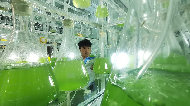 离心管防爆性能检测：规范与关键要点**